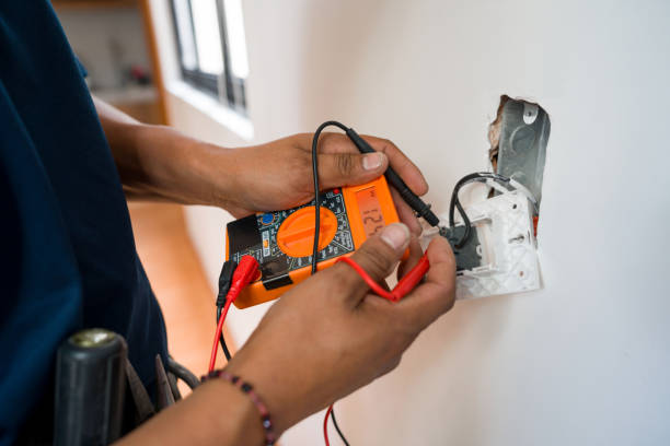 Best Electric Panel Repair  in Port Lavaca, TX
